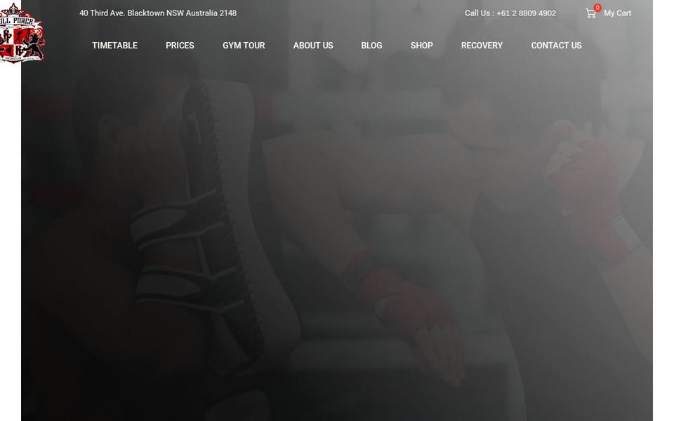 Full Force Gym website