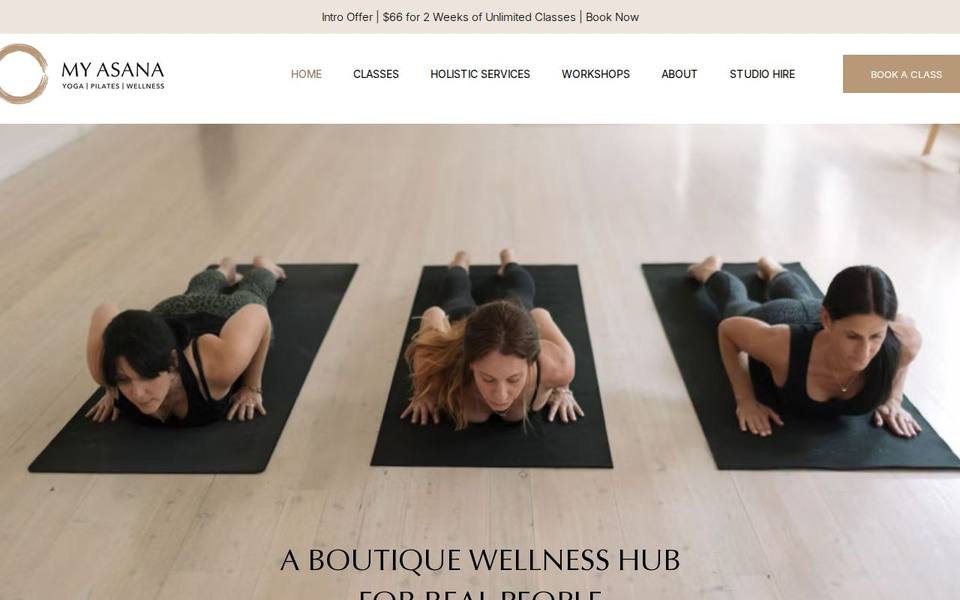 My Asana website