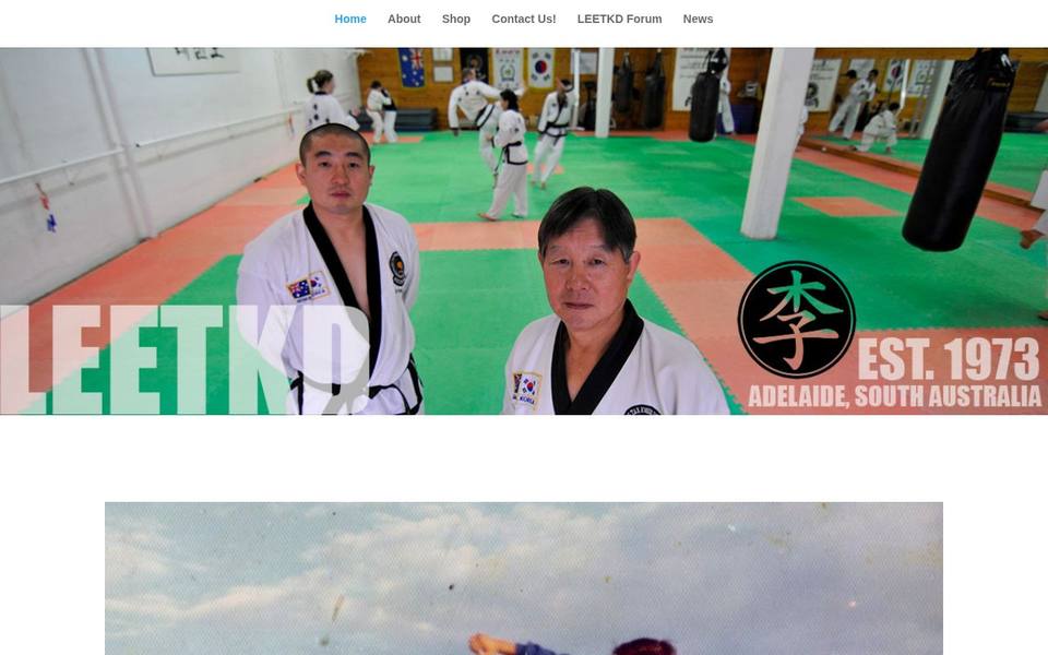 Lee's Taekwondo Academy website