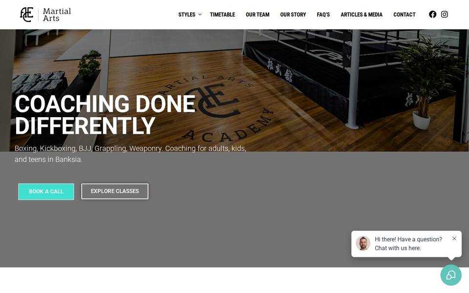ACE Martial Arts & Boxing website