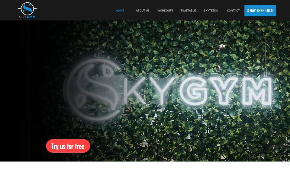 SkyGym website