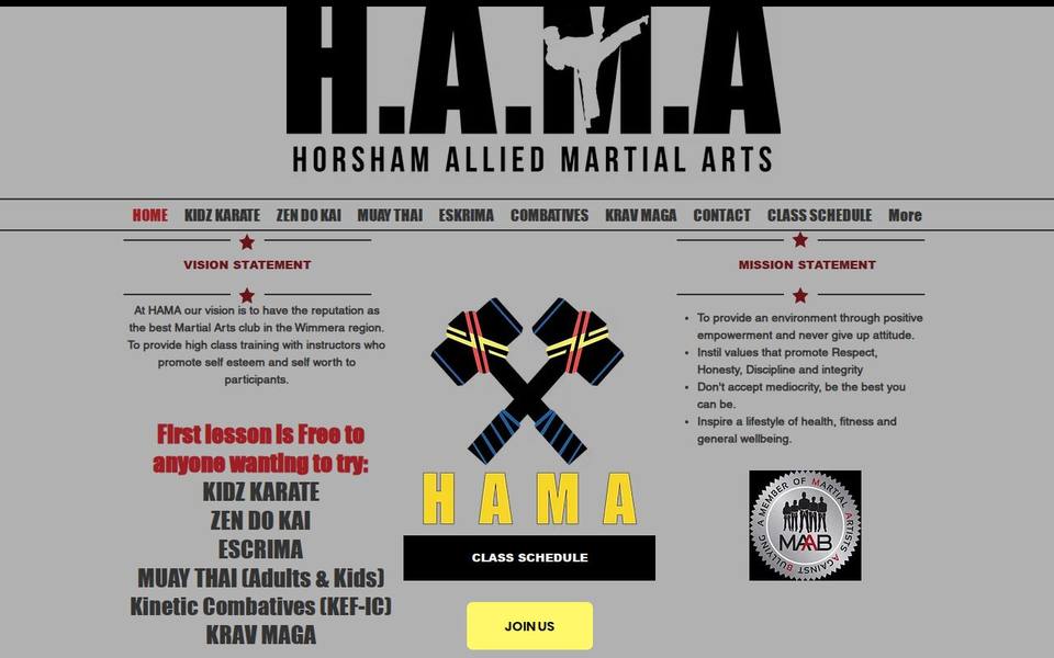 Horsham Allied Martial Arts website