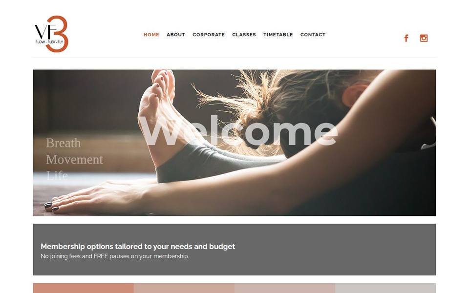 VF3 Flow Flex Fly website