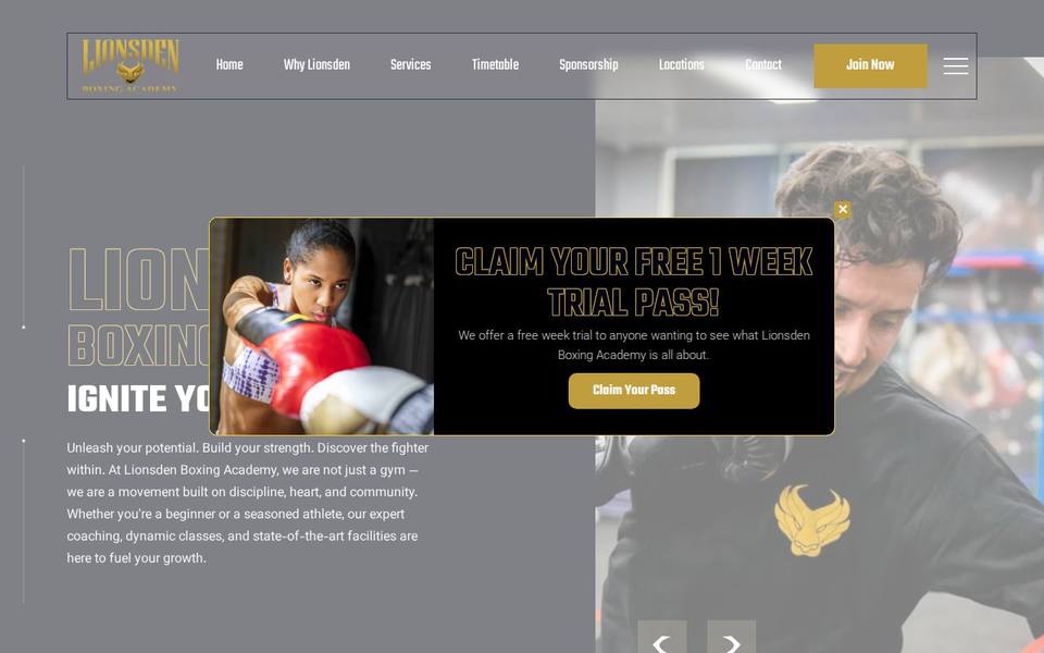 Lionsden Boxing Academy website