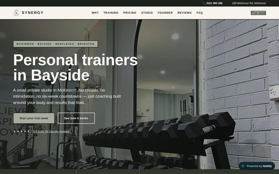 Synergy Training and Health website