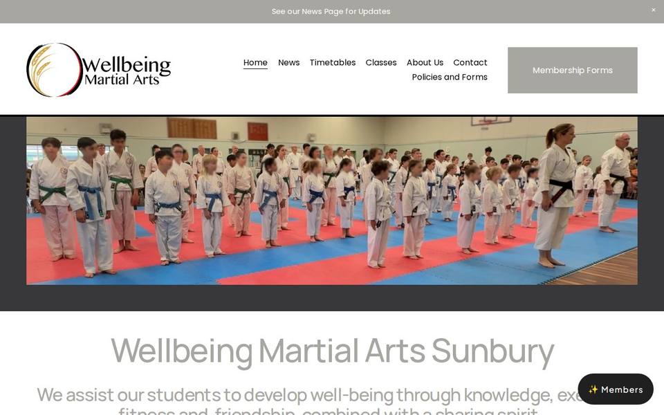 Wellbeing Martial Arts website