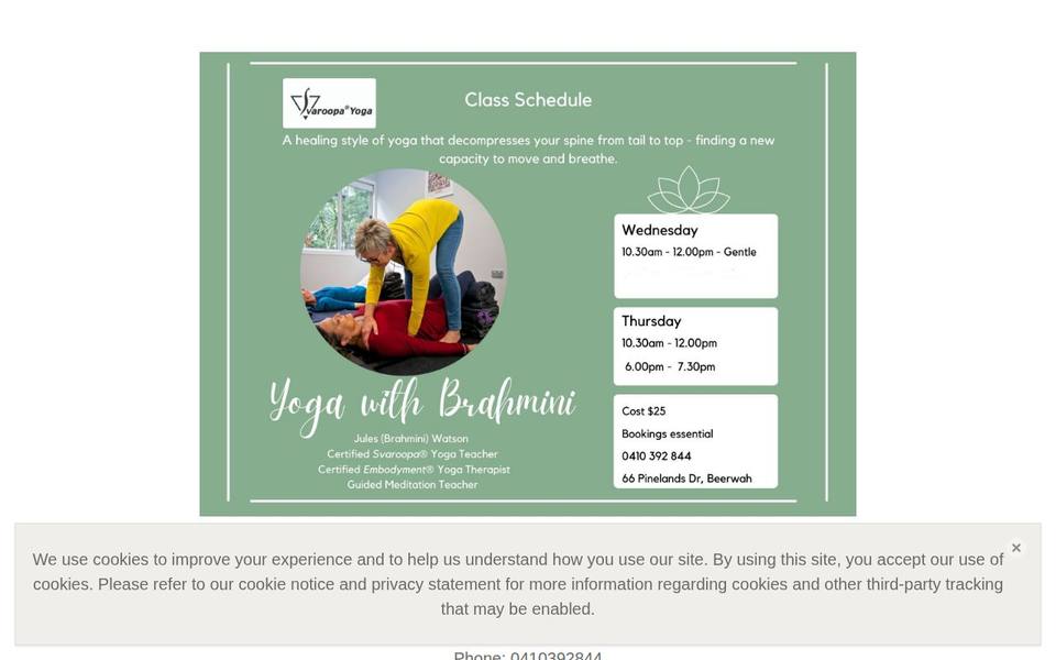 Yoga with Brahmini website