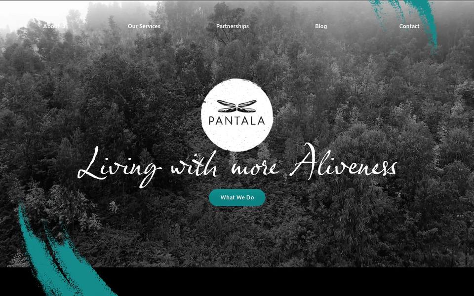 Pantala Yoga website