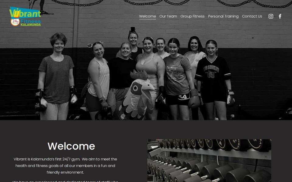 Vibrant Health and Fitness website