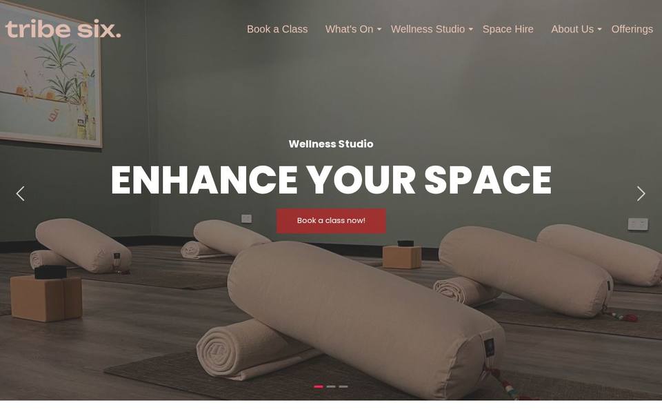 tribe six. website